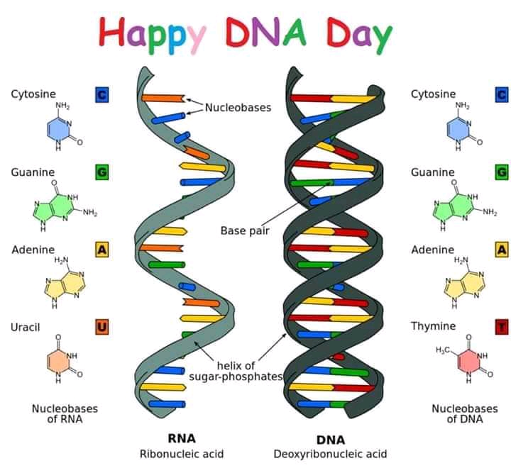 Techniques in molecular biology